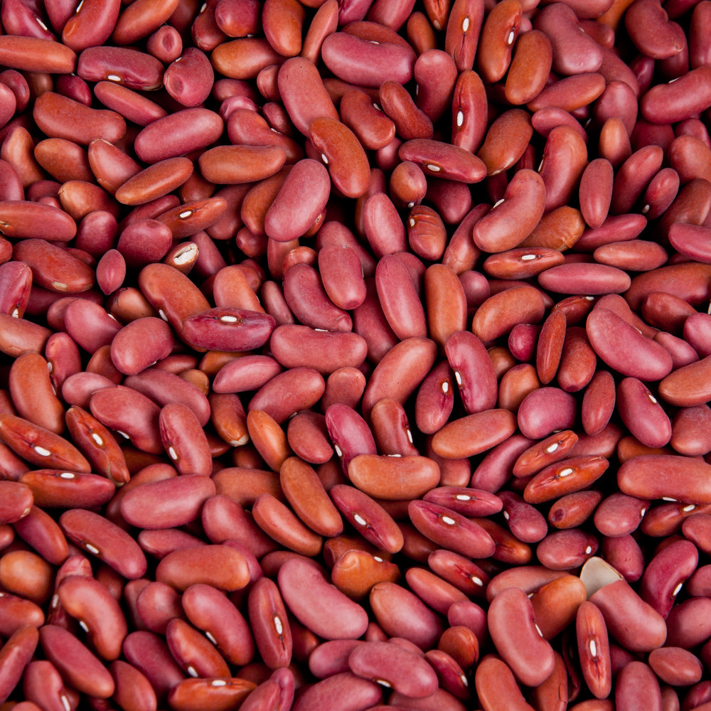 dried light red kidney beans 20 lbs