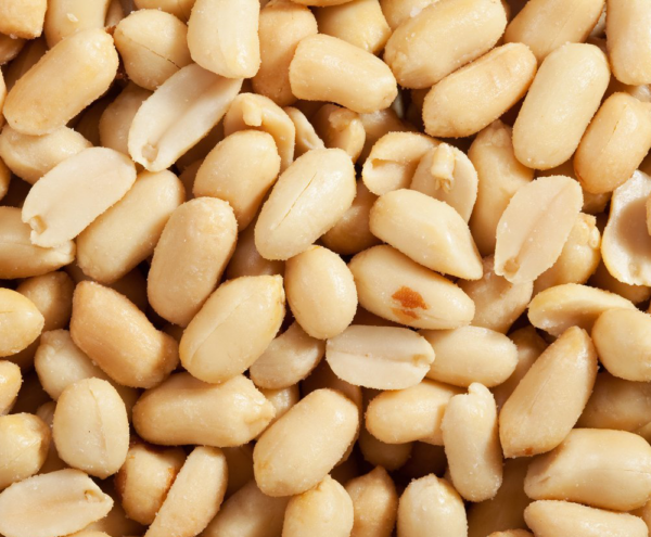 Blanched Peanuts Roasted & Salted