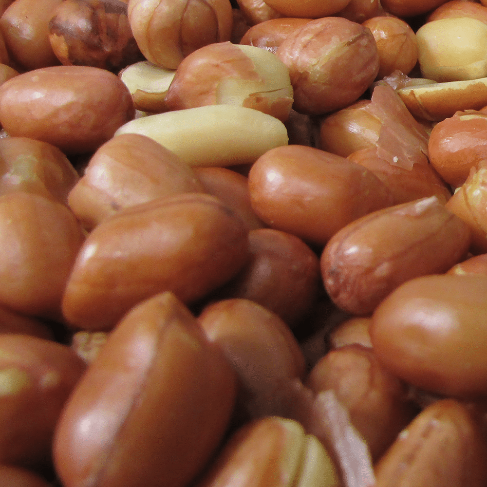 Spanish Peanuts Roasted No Salt