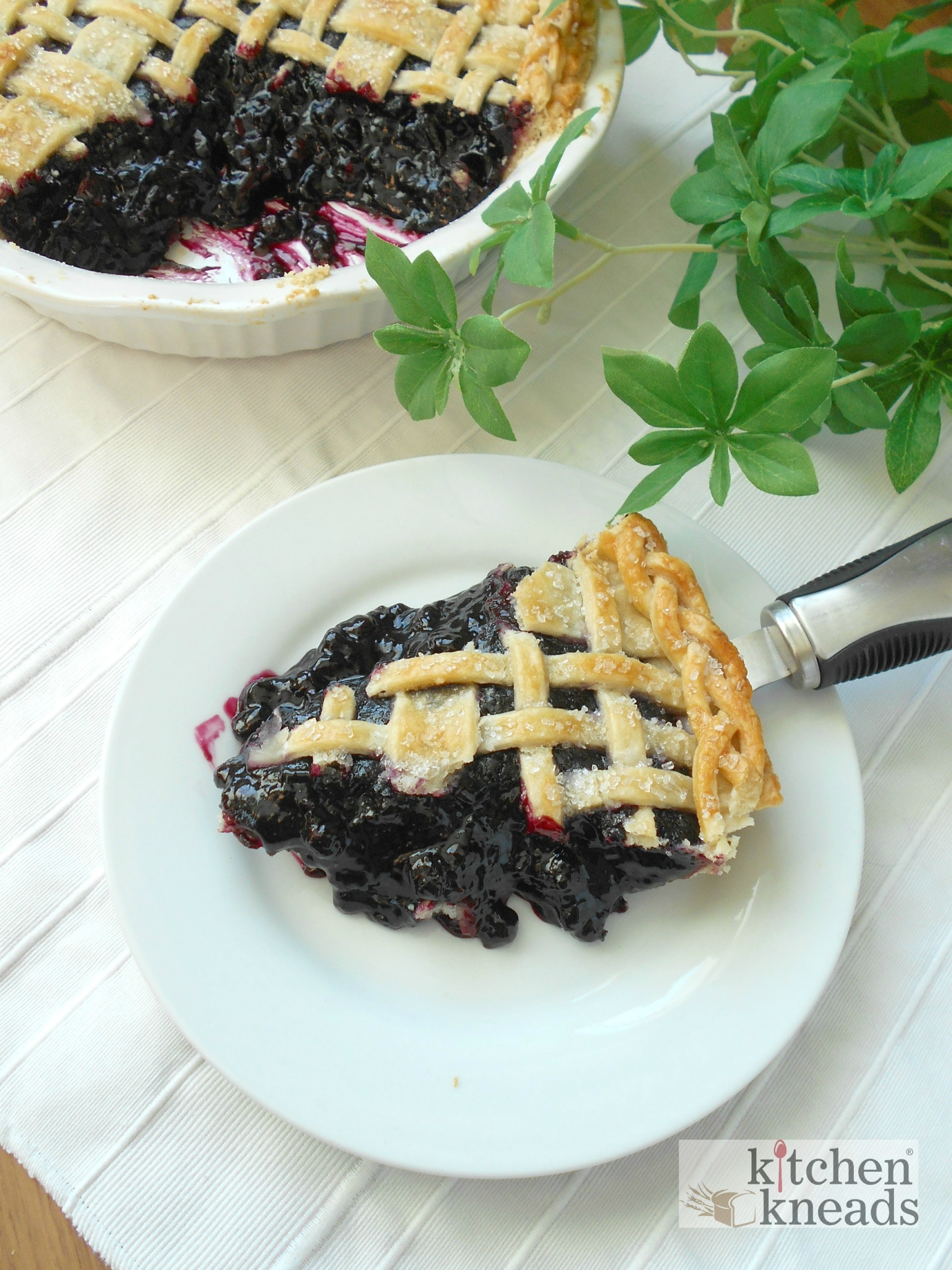 Plaid Blueberry Pie | The Original Pie Design on a Classic