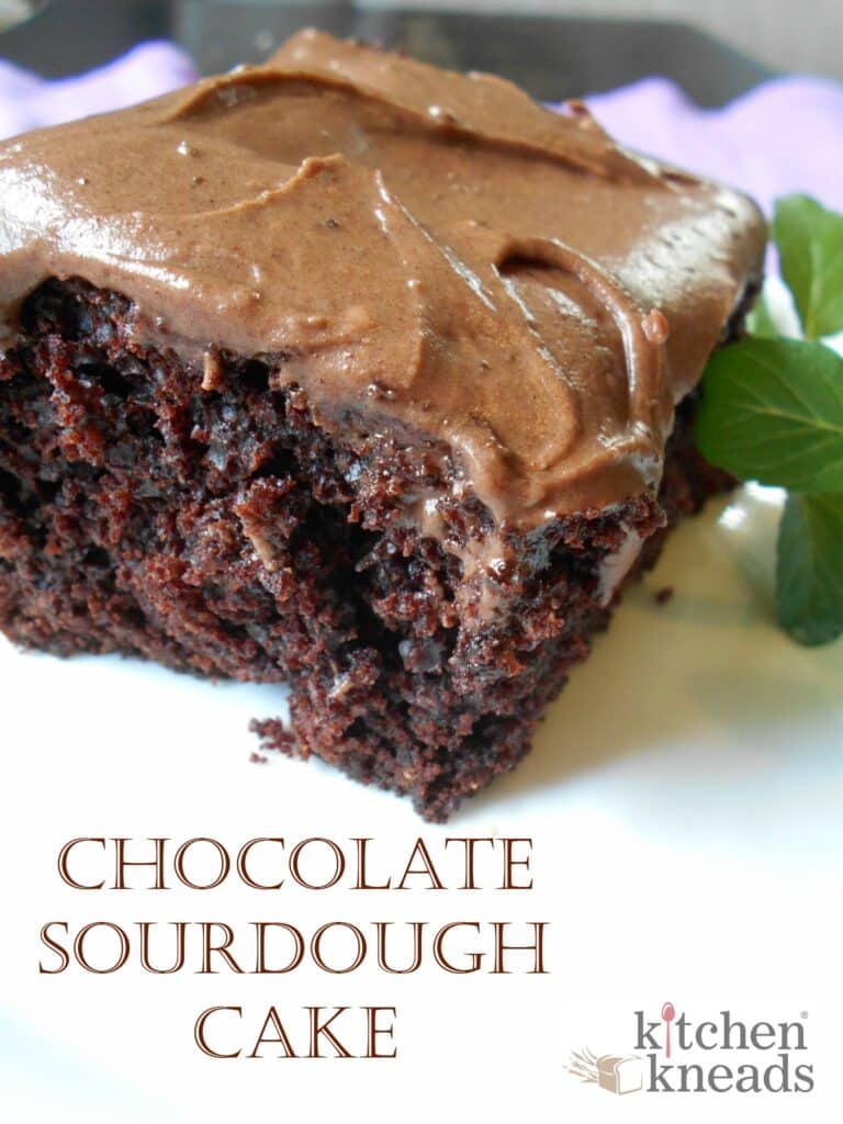 chocolate sourdough cake