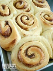 Hands-on Cinnamon Roll Class | May 11th | 10 AM