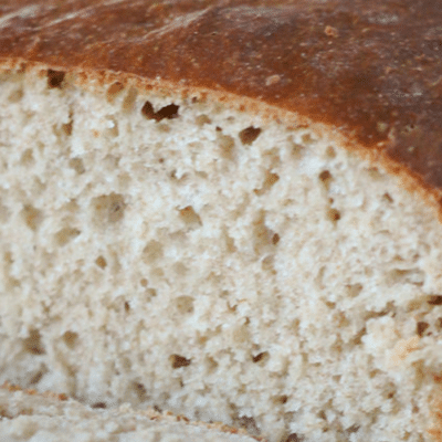 fresh yeast bread