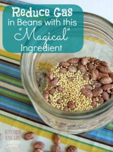 reduce gas in canned beans