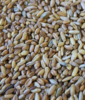 9 Grain Blend (Whole)