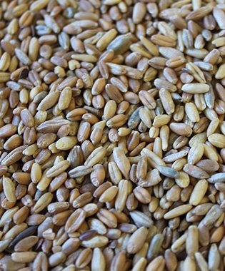 9 Grain Blend (Whole)