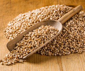 wheat protein | kitchen kneads